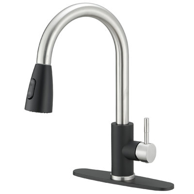 Robinet de cuisine à poignée simple avec accessoires