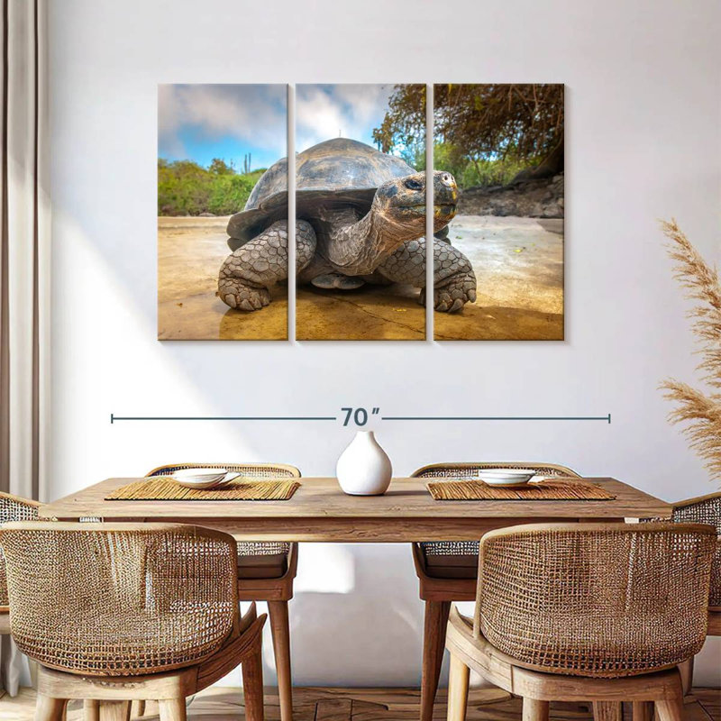Galapagos Beach Tortoise, 36" H x 57" W