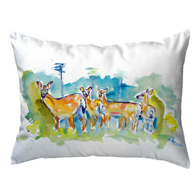Outdoor Reversible Throw Pillow