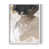 Cadre simple blanc est en rupture de stock