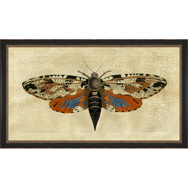 Papillon craquelé 5 - Peinture sur papier encadrée