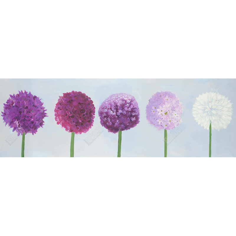 " Dahlia Pompon "