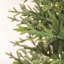 Itasca Frasier Christmas Tree with LED Warm White Lights with Stand-776923789