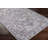 Machine Woven Oriental Gray/Ivory Area Rug-1031679656