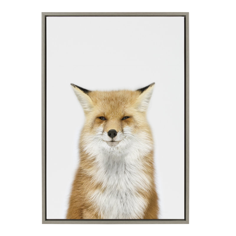 Animal Studio Fox 3 by Amy Peterson Framed Canvas Wall Art Print, 23" x 33", Gray Framed