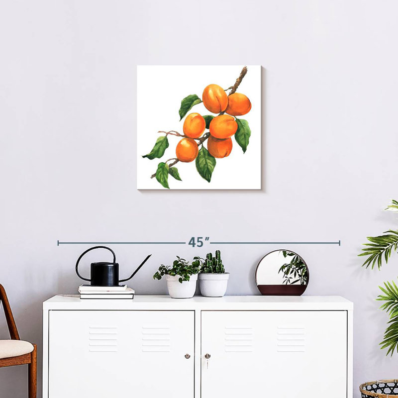 Abricots mûres Yarlin, H 20 po x l 20 po