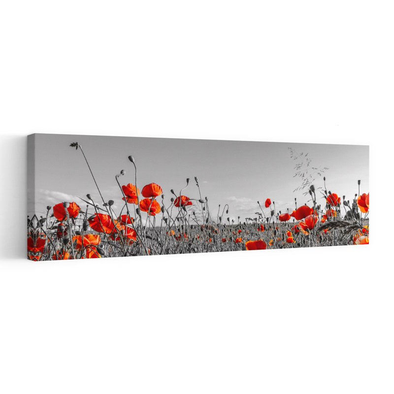 Vibrant Poppy Field by Melanie Viola - Wrapped Canvas Panoramic Print, 40.64 cm H x 121.92 cm W