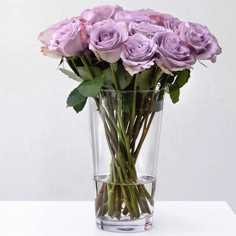 Ladainian 12" Glass Taper Vase Set of 6