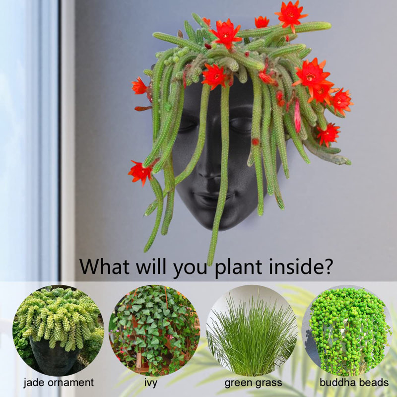 Metal Wall Planter