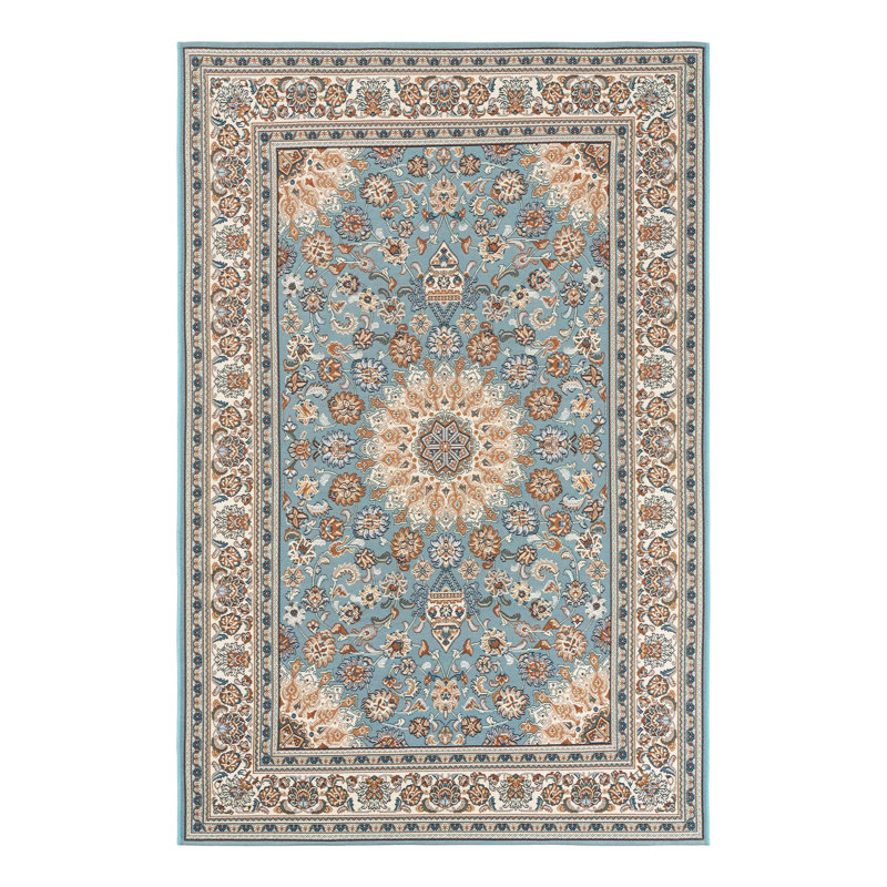 Indoor/Outdoor Traditional Area Rug, Rectangle 5'3" x 8'
