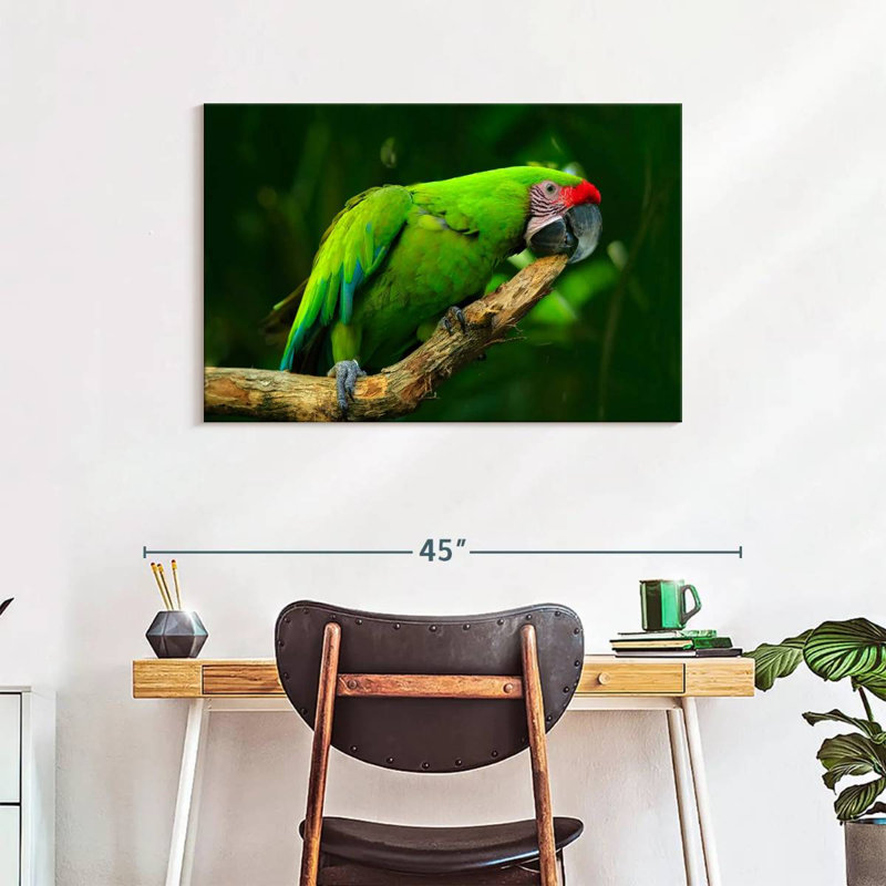 Military Macaw, 24" H x 36" W