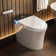 Smart Bidet Toilet Tankless, Intelligent Bidet Toilet with Auto/Blackout Flush, Heated Seat, Warm Wash, Warm Dryer (Remote Control Included)