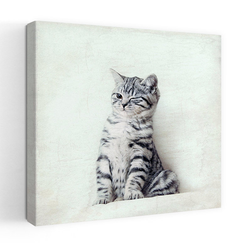 Art contemporain de chat, H 18 po x l 18 po