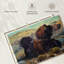 Brousse sauge Brampt Siesta-107845627