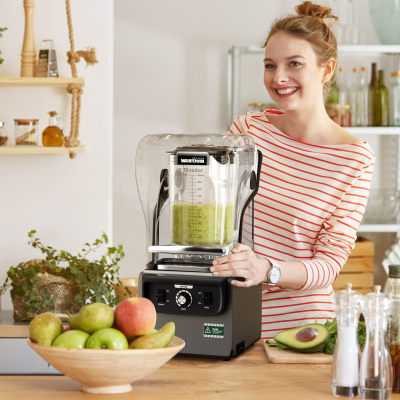 Mélangeur commercial insonorisé de cuisine avec insonorisation commerciale Wantjoin