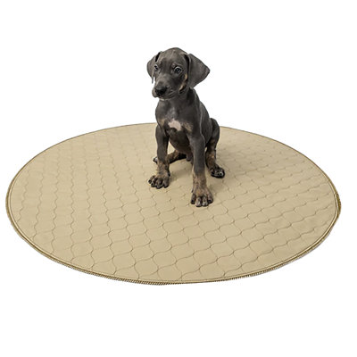 Tapis rond pour chien de formation 73 po x 73 po beige