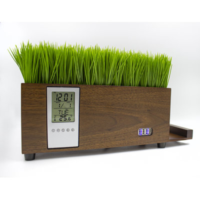 Stroble 4-Port Usb Power Charging Station With Lcd Clock And Artificial Grass In Natural Finish