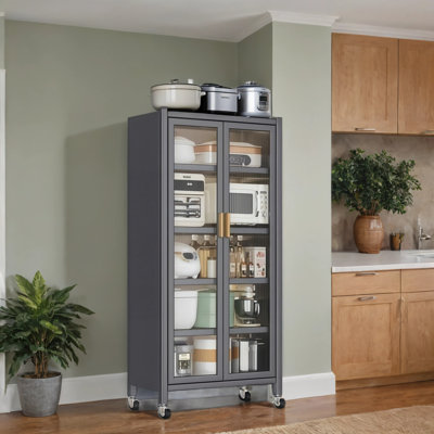 Metal 5-Tier 64" Kitchen Pantry Cabinet with Wheels and Transparent Flap Doors by Latitude Run