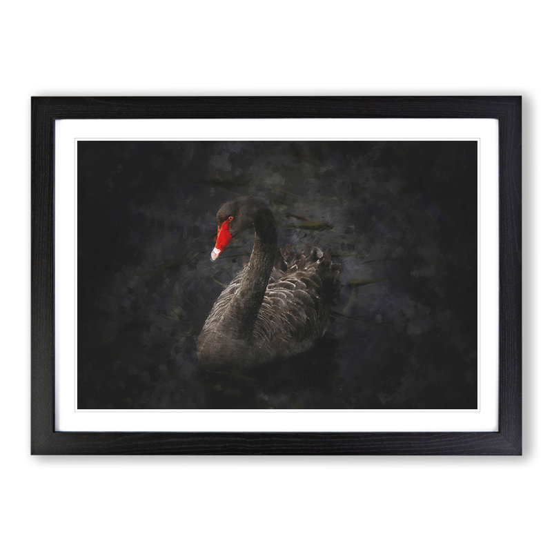 Black Swan - Picture Frame Painting, 27cm H x 36cm W x 2cm D, Black Framed