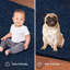 Tapis d'intérieur sur mesure Furnish My Place - 6 pi X 12 pi Marine-891175962