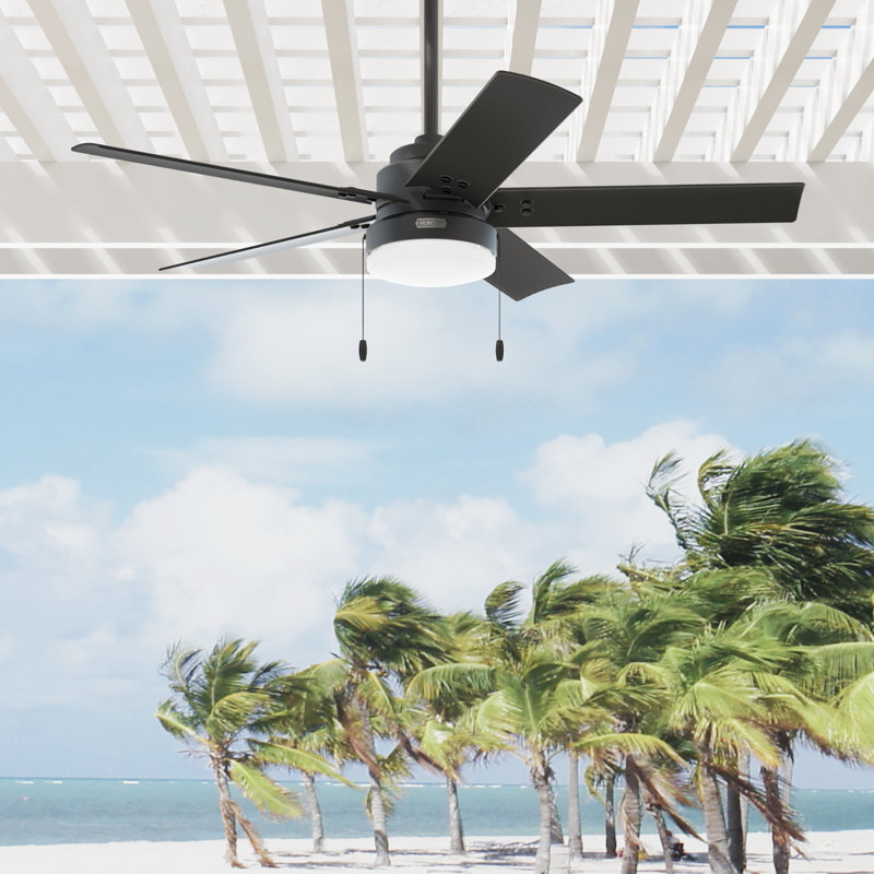 Ventilateur de plafond standard 52 pouces à 5 pales avec lumières et chaînes à tirer, Noir mat
