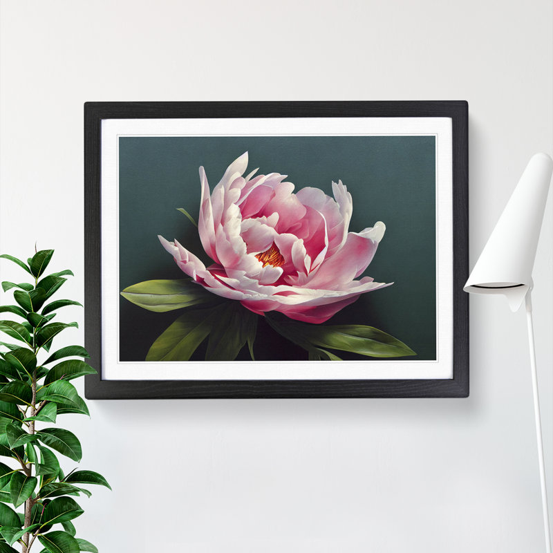 Stupendous Peony Flower - Single Picture Frame Print, Black, 46cm H x 64cm W x 2cm D