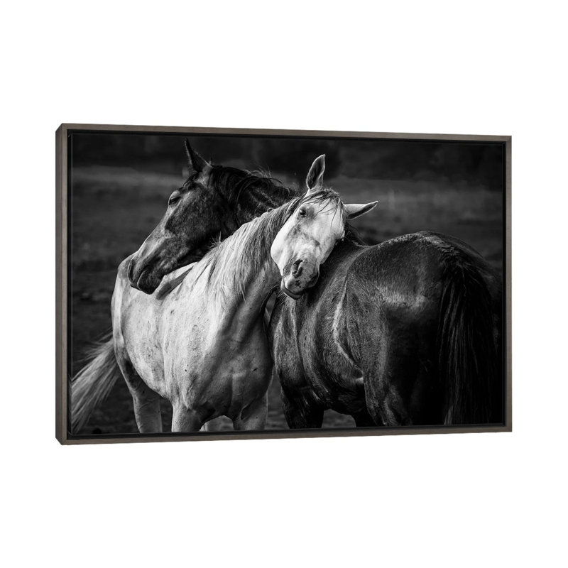 «Warm Rain» par Niko Chapa - reproduction de photo, Pas de tapis, H 32 po x l 48 po x 1,5 po, Toile avec cadre gris