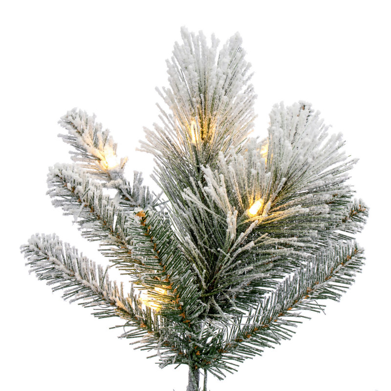 Jackson 12' H Lighted Artificial Pine Christmas Tree