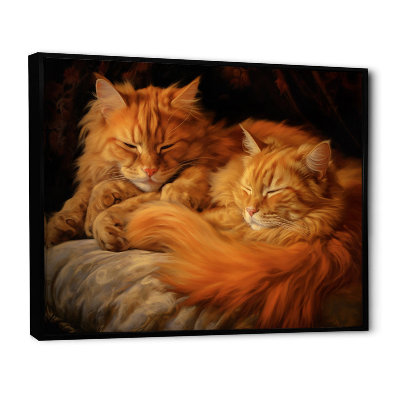 «Fluffy Orange Cats Sleeping Together I», reproduction, Cadre flottant noir, H 30 po x l 40 po x P 1,5 po