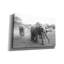 Art mural sur toile Epic Graffiti «Elephant Race Bw» par Max Blakesberg Studios, 40 po x 26 po-1164794826