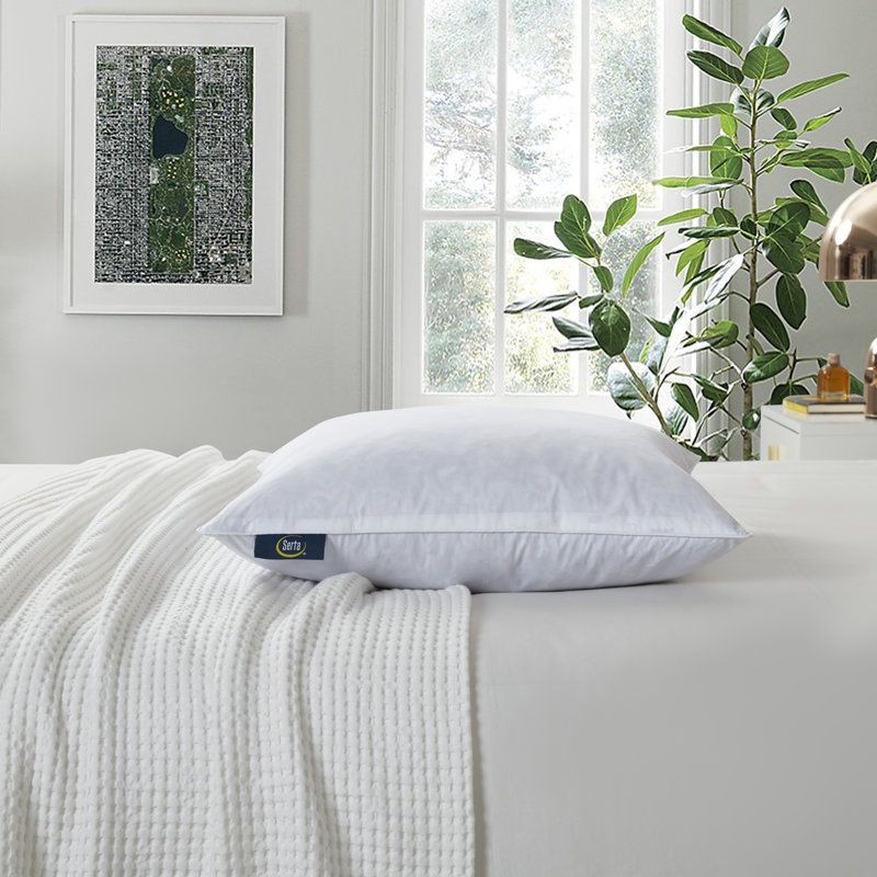 Medium White Cotton Feather Fill Decorative Pillow Set