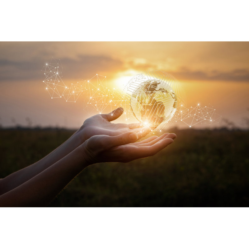 Hands Showing Global Network by Natali_Mis - Wrapped Canvas Print, 30cm H x 46cm W x 3.8cm D