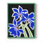Pop Flowers IV, reproduction encadrée - bois massif-1741717358-1741717350