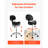 Backed Adjustable Height Ergonomic Active Stool