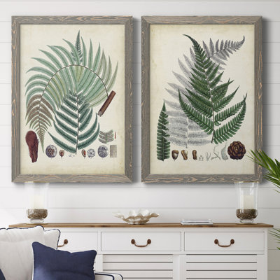" Collected Ferns I " 2 Piece Art Color Photography Painting
