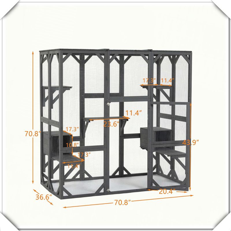 Enceinte d'extérieur en bois Catio avec plateformes de saut