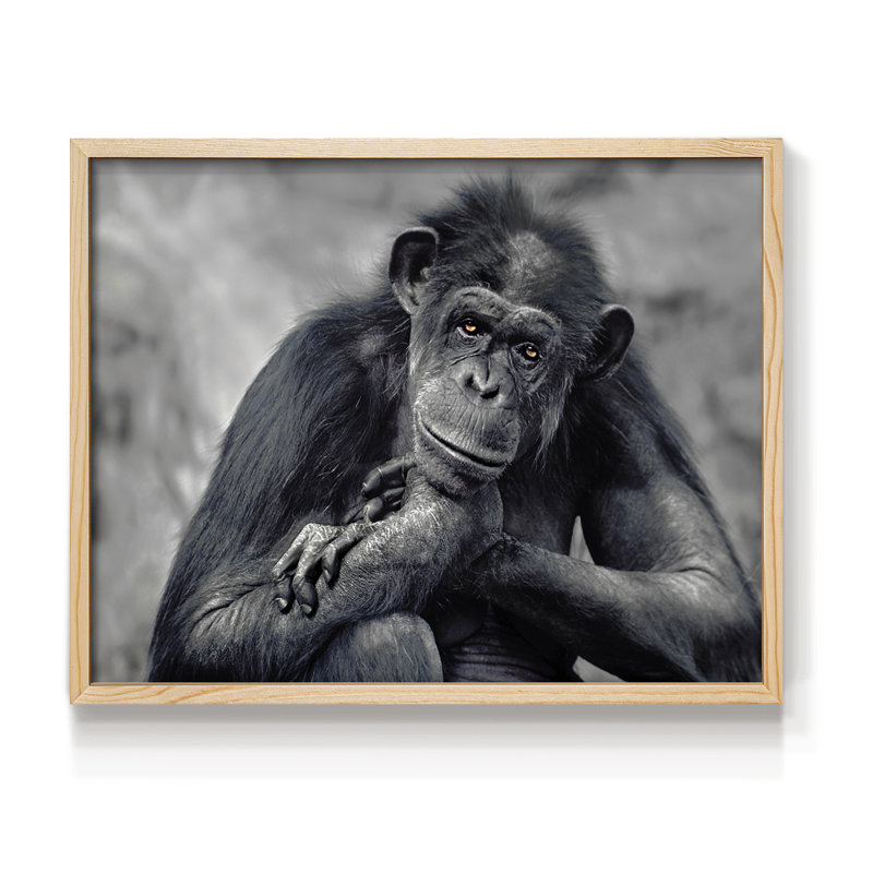 Captivated -Framed Print - Restickable, Natural, 16" H x 20" W