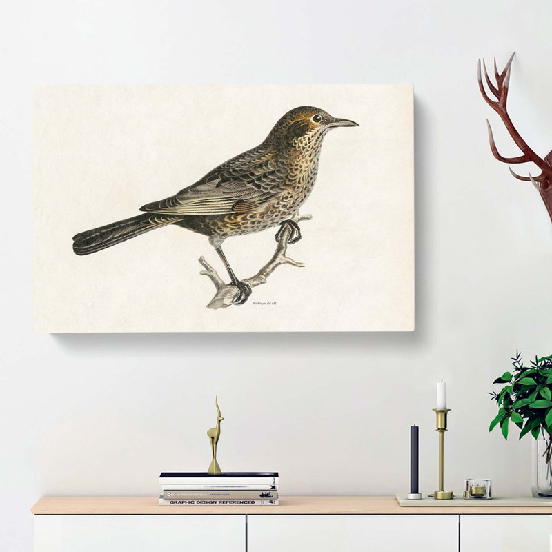 Blackbird by Von Wright - Wrapped Canvas, 50cm H x 76cm W x 3cm D