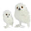 Stockport Decorative Object-172094669