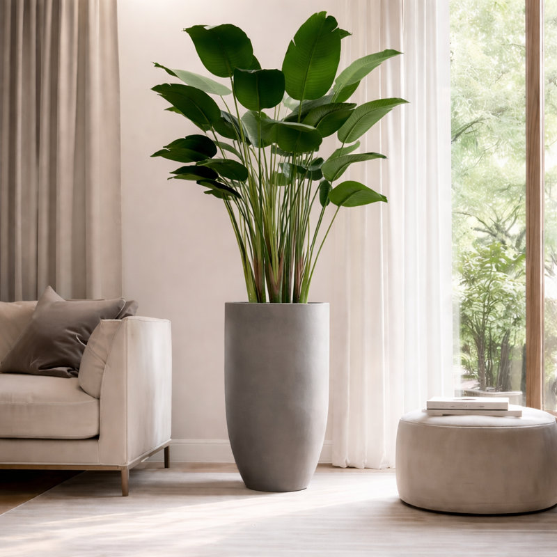 Faux Bird Of Paradise Plant in Pot Liner