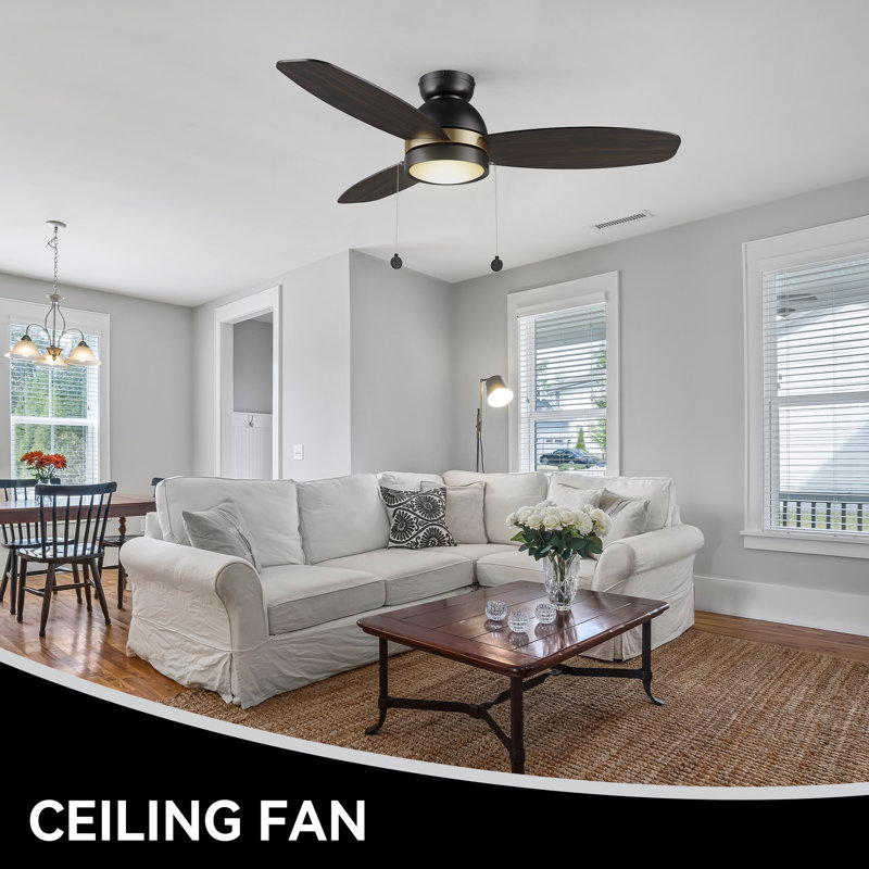 48'' Ceiling Fan with LED Lights