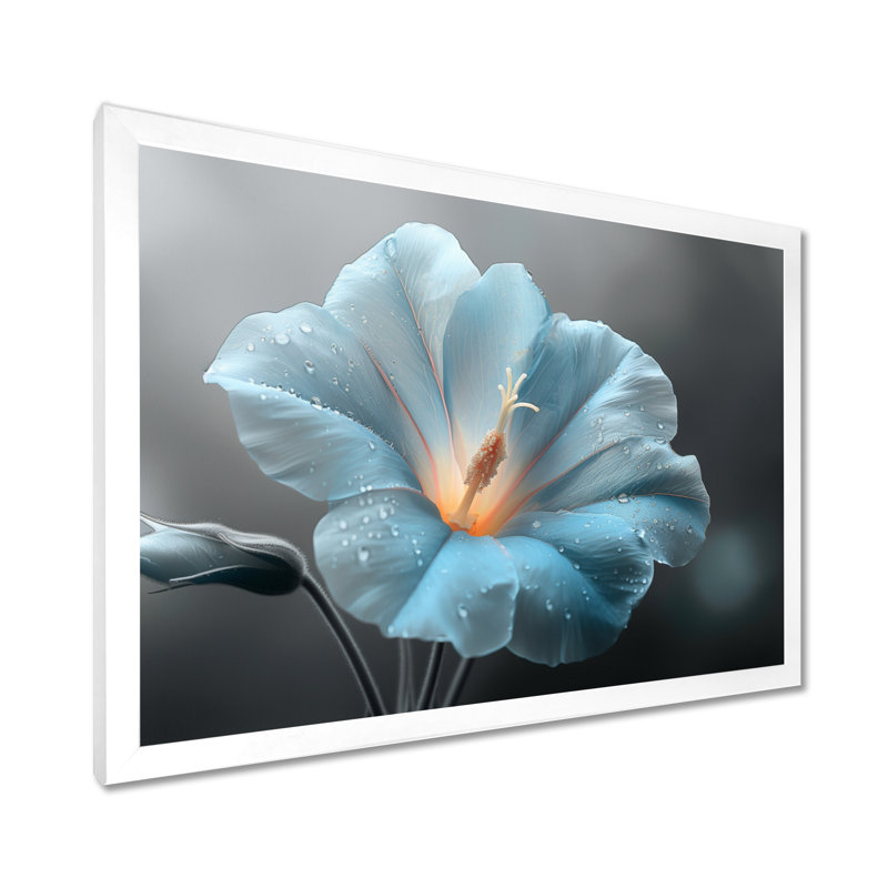 «Blue Crystal Morning Glory Flowers Photo I - Morning Glory», art mural, Sans cadre, métal, H 30 po x l 40 po