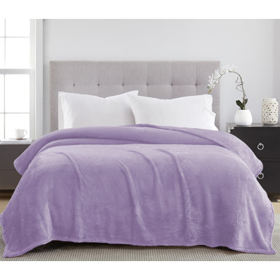 Vanessa Teddy Plush Blanket