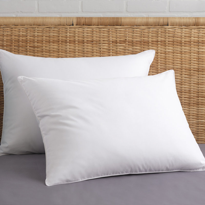 Ensemble de 2 coussins Byxbee, Très grand