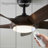 54" 3 Blade LED Standard Ceiling Fan With Light