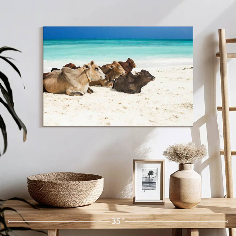 Crowle Zanzibar Beach Bétail, H 16 po x l 24 po