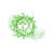 Lime Tree Green