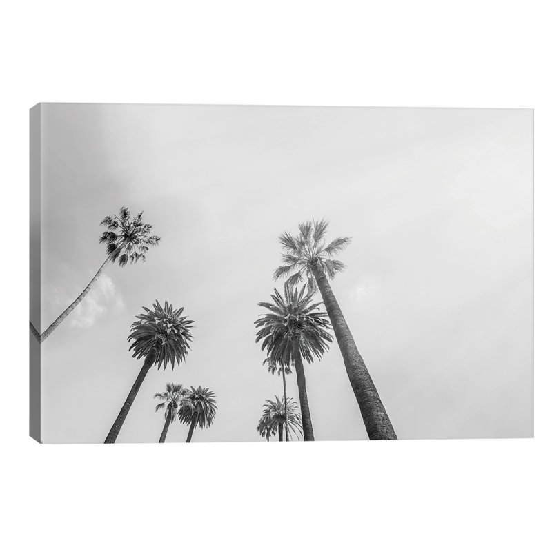 8 Palms by Honeymoon Hotel - Wrapped Canvas Giclee Art Print, 66.04 cm H x 45.72 cm W x 3.175 cm D