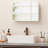 Bathroom Medicine Cabinet With Mirror