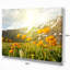 Mountain Pasture with Yellow Flowers - Reproduction de photo sur toile tendue-19407216